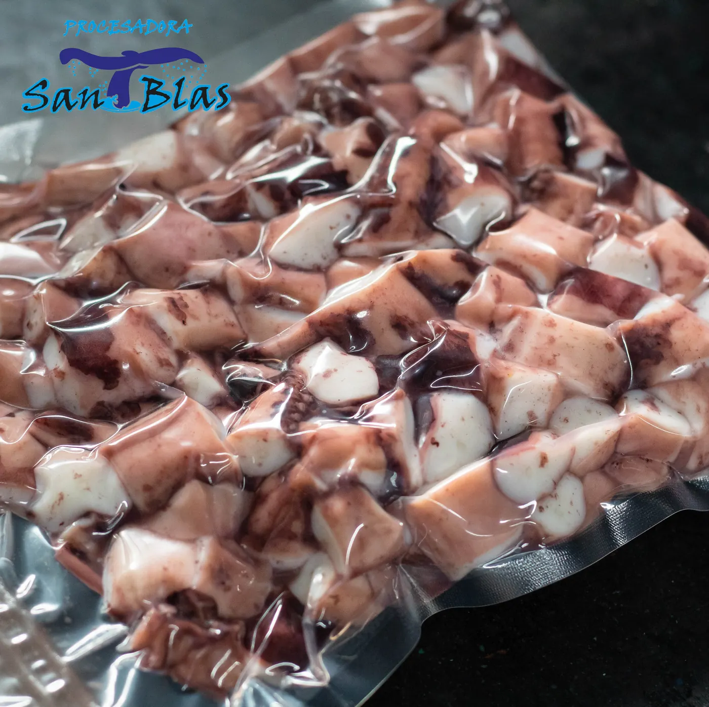 Pulpo y calamar